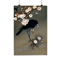 14442568114752167434_2048.jpeg Crow and Blossom – Ohara Koson (c. 1910) – Japanese Woodblock Poster Print