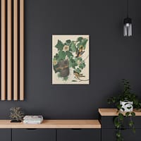 14569654491812669618_2048.jpeg Baltimore Oriole, Birds of America – John James Audubon (1827) – Natural History Canvas Print