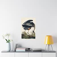 14572210915531658136_2048-1.jpeg Great Blue Heron, Birds of America – John James Audubon (1834) – Natural History Poster Print