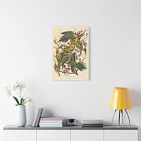 1490064342202331619_2048.jpeg Carolina Parakeet, Birds of America – John James Audubon (1828) – Natural History Canvas Print