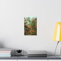 15546411822822223836_2048.jpeg Mosses (Muscinae), Kunstformen der Natur – Ernst Haeckel (1904) – Botanical Poster Print