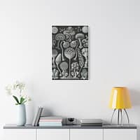15870929380244095157_2048.jpeg Mycetozoa, Kunstformen der Natur, plate 93 – Ernst Haeckel (1904) – Natural History Canvas Print