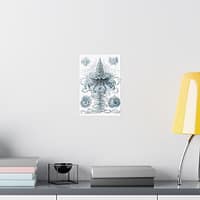 1601752900634488093_2048.jpeg Siphonophorae, Kunstformen der Natur, plate 37 – Ernst Haeckel (1904) – Natural History Poster Print