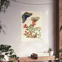 16087219892169902058_2048.jpeg Metamorphosis Insectorum Surinamensium, plate 9 – Maria Sibylla Merian (1705) – Natural History Poster Print