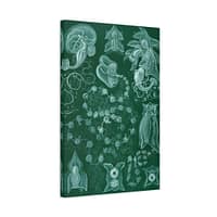 16522789112209723331_2048.jpeg Siphonophorae, Kunstformen der Natur, plate 77 – Ernst Haeckel (1904) – Natural History Canvas Print