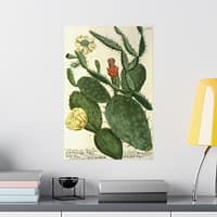 16606221636921690430_2048.jpeg Phytanthoza iconographia, Vol. 3, plate 766 – Johann Wilhelm Weinmann (1742) – Botanical Poster Print