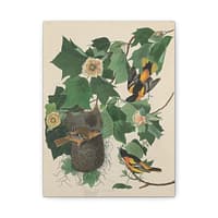 16676535447029600953_2048.jpeg Baltimore Oriole, Birds of America – John James Audubon (1827) – Natural History Canvas Print
