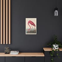 16932543361569938439_2048.jpeg American Flamingo, Birds of America – John James Audubon (1838) – Natural History Canvas Print
