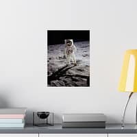 17115571680631093809_2048.jpeg Buzz Aldrin on the Moon - NASA Apollo 11 Mission Photograph (1969) - Space Age Poster Print