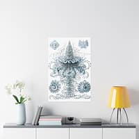 17353984466107517525_2048.jpeg Siphonophorae, Kunstformen der Natur, plate 37 – Ernst Haeckel (1904) – Natural History Poster Print