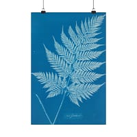17406220321138184513_2048.jpeg New Zealand Fern Cyanotype – Anna Atkins (c. 1853-54) – Botanical Poster Print