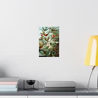 17786610249538637009_2048.jpeg Hummingbirds (Trochilidae), Kunstformen der Natur – Ernst Haeckel (1904) – Natural History Poster Print