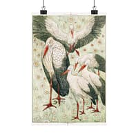 17955506316455869091_2048.jpeg Five storks in a meadow (Vijf ooievaars in een wei) - Theo van Hoytema (c. 1878) - Art Nouveau Poster Print