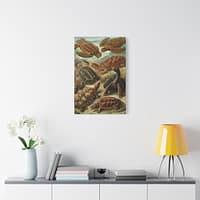 1798914394154723754_2048.jpeg Sea Turtles & Tortoises (Chelonia), Kunstformen der Natur – Ernst Haeckel (1904) – Natural History Canvas Print
