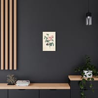 18011658306978664200_2048.jpeg Rosa Centifolia (Rosier à cent feuilles) – Pierre-Joseph Redouté (c. 1817-24) – Botanical Canvas Print