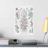 18117289753433581434_2048.jpeg Siphonophorae, Kunstformen der Natur, plate 59 – Ernst Haeckel (1904) – Natural History Poster Print