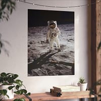 2413965633835816451_2048.jpeg Buzz Aldrin on the Moon - NASA Apollo 11 Mission Photograph (1969) - Space Age Poster Print