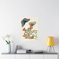 2509078426082965468_2048.jpeg Metamorphosis Insectorum Surinamensium, plate 9 – Maria Sibylla Merian (1705) – Natural History Poster Print