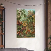 2869290422592801478_2048.jpeg Mosses (Muscinae), Kunstformen der Natur – Ernst Haeckel (1904) – Botanical Poster Print