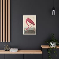 296999115024934595_2048.jpeg American Flamingo, Birds of America – John James Audubon (1838) – Natural History Canvas Print