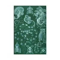 313458519037494504_2048.jpeg Siphonophorae, Kunstformen der Natur, plate 77 – Ernst Haeckel (1904) – Natural History Canvas Print