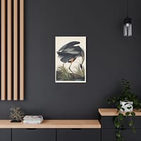 3339056175508017303_2048.jpeg Great Blue Heron, Birds of America – John James Audubon (1834) – Natural History Canvas Print