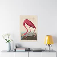 385537311977165885_2048.jpeg American Flamingo, Birds of America – John James Audubon (1838) – Natural History Poster Print