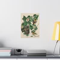 3998489777049309121_2048.jpeg Baltimore Oriole, Birds of America – John James Audubon (1827) – Natural History Poster Print