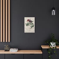 4162368445011619935_2048.jpeg Rosa Gallica Purpurea Velutina Parva (Rosier de Van-Eeden) – Pierre-Joseph Redouté (c. 1817-24) – Botanical Canvas Print