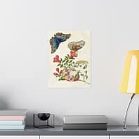 4566521867164509902_2048.jpeg Metamorphosis Insectorum Surinamensium, plate 9 – Maria Sibylla Merian (1705) – Natural History Poster Print