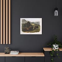 4586653354481759108_2048.jpeg Bos Americanus, American Bison or Buffalo, plate 57 – John James Audubon (1845) – Natural History Canvas Print