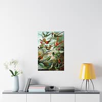 4768362759232453066_2048.jpeg Hummingbirds (Trochilidae), Kunstformen der Natur – Ernst Haeckel (1904) – Natural History Poster Print