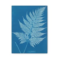 5157248227450117943_2048.jpeg New Zealand Fern Cyanotype – Anna Atkins (c. 1853-54) – Botanical Canvas Print