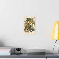 5199348309834584949_2048.jpeg Carolina Parakeet, Birds of America – John James Audubon (1828) – Natural History Poster Print