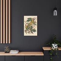 5416909403745394325_2048.jpeg Carolina Parakeet, Birds of America – John James Audubon (1828) – Natural History Canvas Print