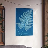 6294370027070066059_2048.jpeg New Zealand Fern Cyanotype – Anna Atkins (c. 1853-54) – Botanical Poster Print