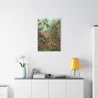 6451482166605319582_2048.jpeg Mosses (Muscinae), Kunstformen der Natur – Ernst Haeckel (1904) – Botanical Canvas Print