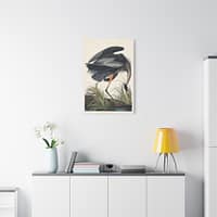 6671968626625516621_2048.jpeg Great Blue Heron, Birds of America – John James Audubon (1834) – Natural History Canvas Print