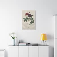 6948484527368992954_2048.jpeg Rosa Gallica Purpurea Velutina Parva (Rosier de Van-Eeden) – Pierre-Joseph Redouté (c. 1817-24) – Botanical Canvas Print