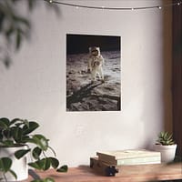 6977055006040104478_2048.jpeg Buzz Aldrin on the Moon - NASA Apollo 11 Mission Photograph (1969) - Space Age Poster Print