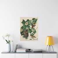 7119173984732536525_2048.jpeg Baltimore Oriole, Birds of America – John James Audubon (1827) – Natural History Poster Print