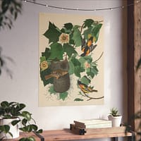 7774413577604710491_2048.jpeg Baltimore Oriole, Birds of America – John James Audubon (1827) – Natural History Poster Print
