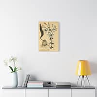 8078498949856988030_2048.jpeg White Lily (Lilium album), A Curious Herbal – Elizabeth Blackwell (1737) – Botanical Canvas Print