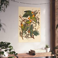 8882861331143076996_2048.jpeg Carolina Parakeet, Birds of America – John James Audubon (1828) – Natural History Poster Print