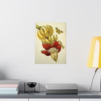 8910856026648691070_2048.jpeg Banana Flower and Fruit, Metamorphosis Insectorum Surinamensium – Maria Sibylla Merian (1705) – Botanical Poster Print