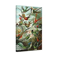 9100104650044653782_2048.jpeg Hummingbirds (Trochilidae), Kunstformen der Natur – Ernst Haeckel (1904) – Natural History Canvas Print