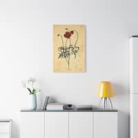 9418943207685927800_2048.jpeg Red Poppy (Papaver, rubrum, erraticum, rhoeas), A Curious Herbal – Elizabeth Blackwell (1737) – Botanical Canvas Print