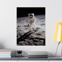 9494026100648477417_2048.jpeg Buzz Aldrin on the Moon - NASA Apollo 11 Mission Photograph (1969) - Space Age Poster Print