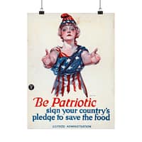 3818316184765724663_2048.jpeg Be Patriotic - Sign Your Country's Pledge to Save the Food - Paul Stahr (1918) - Patriotic WWI Poster Print