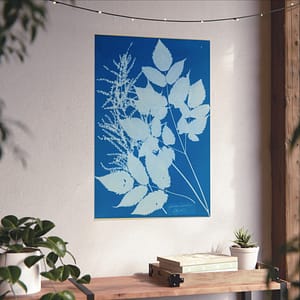 18228579341583262484_2048-1.jpeg Spiraea aruncus (Tyrol) Cyanotype – Anna Atkins (c. 1851-54) – Botanical Poster Print